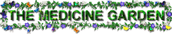 medg.gif (19197 bytes)